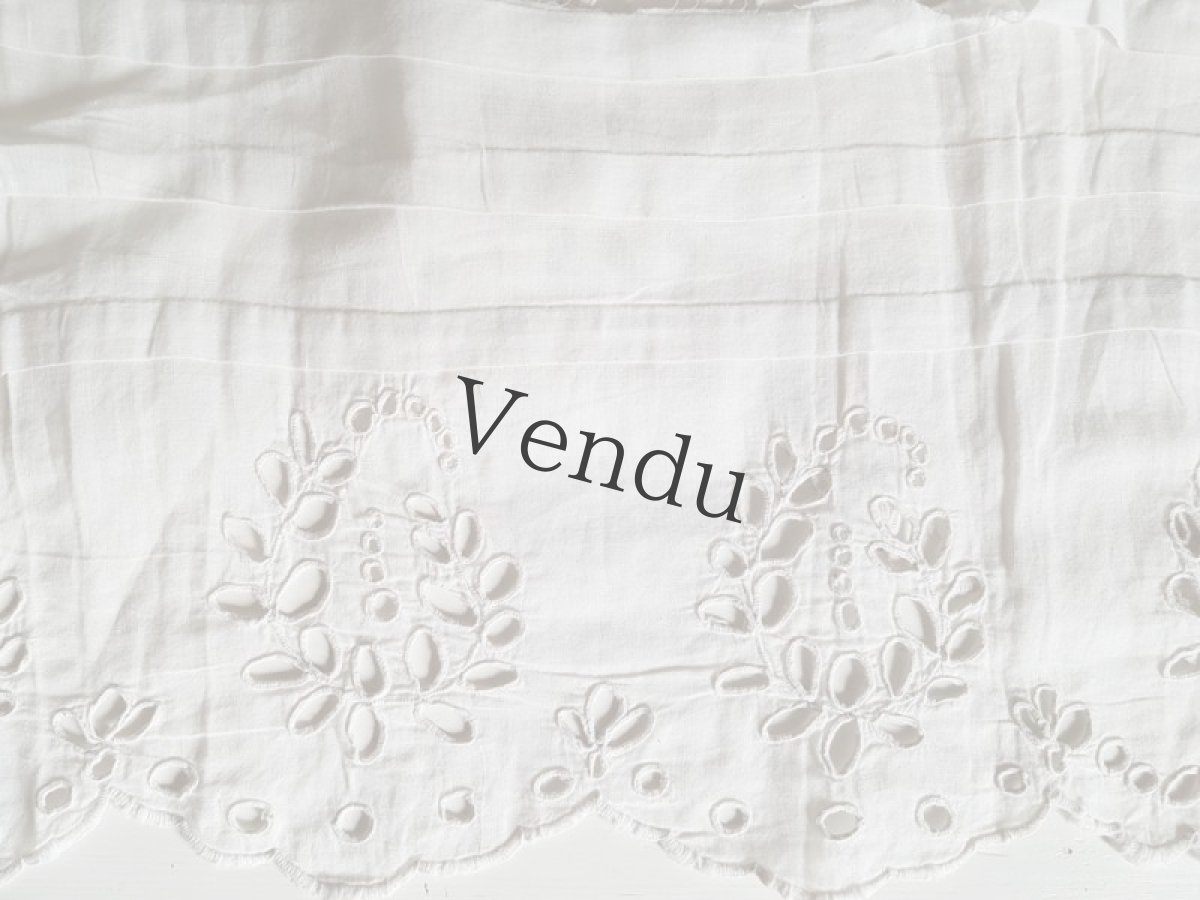 画像3: フランスアンティーク　カットワーク幅広レース 143cm (3)