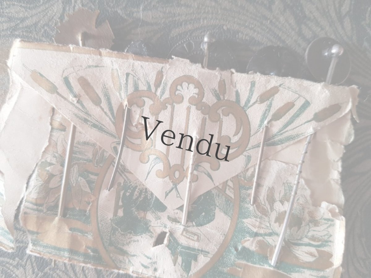 画像5: 《HOLD》フランスアンティーク　エパングル ア クラヴァット セット (5)