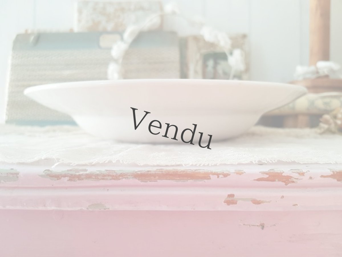 画像6: フランスアンティーク　ディゴアン サルグミンヌ　ばらとカーネーションのお皿２枚セット (6)