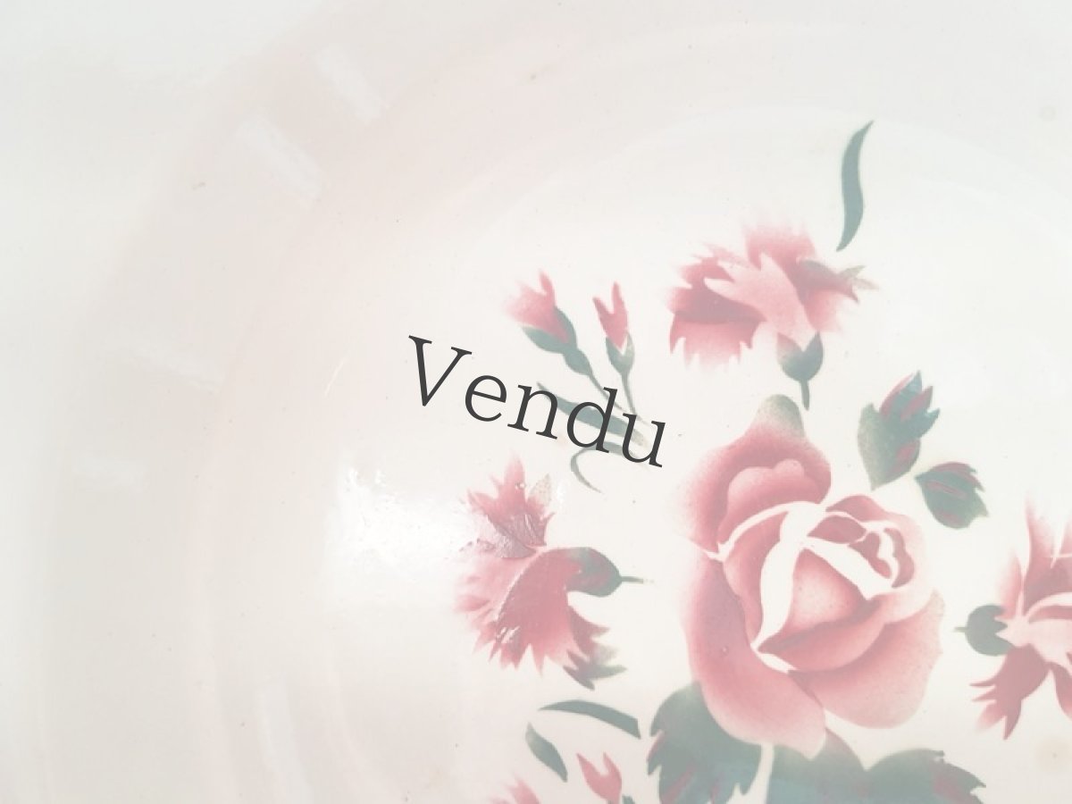 画像12: フランスアンティーク　ディゴアン サルグミンヌ　ばらとカーネーションのお皿２枚セット (12)