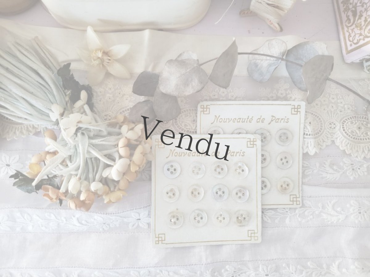 画像7: フランスアンティーク　きれいな台紙の貝ボタンシート 11mm (7)