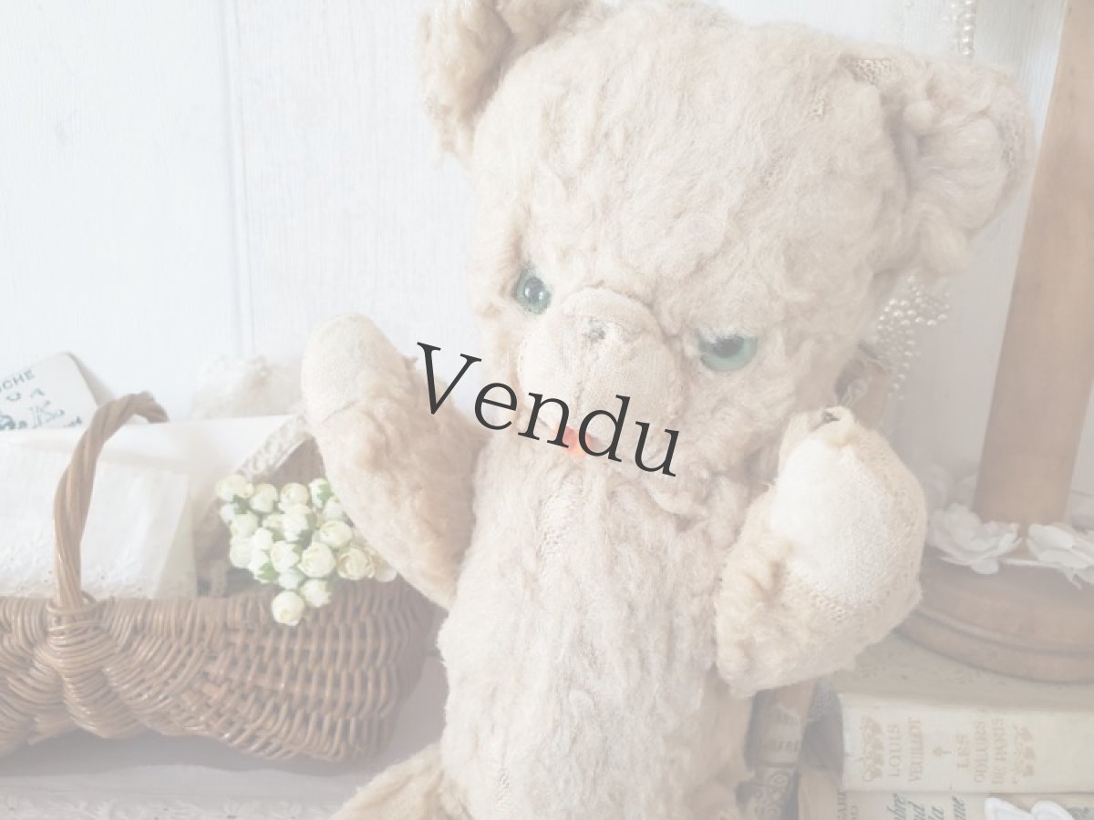 画像3: フランス 1940-1960年　ぺろっとくまのぬいぐるみ (3)