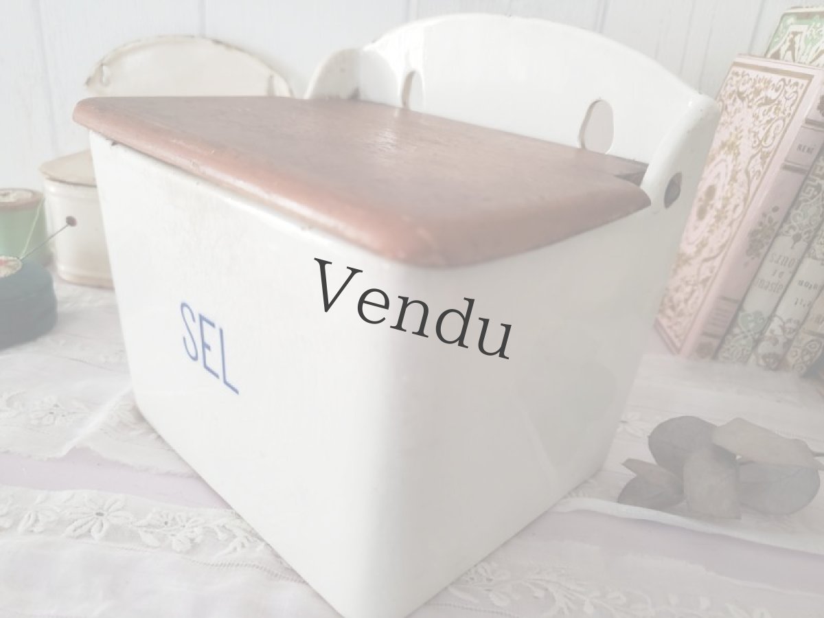 画像3: フランスアンティーク ディゴアン サルグミンヌ　セルボックス (3)