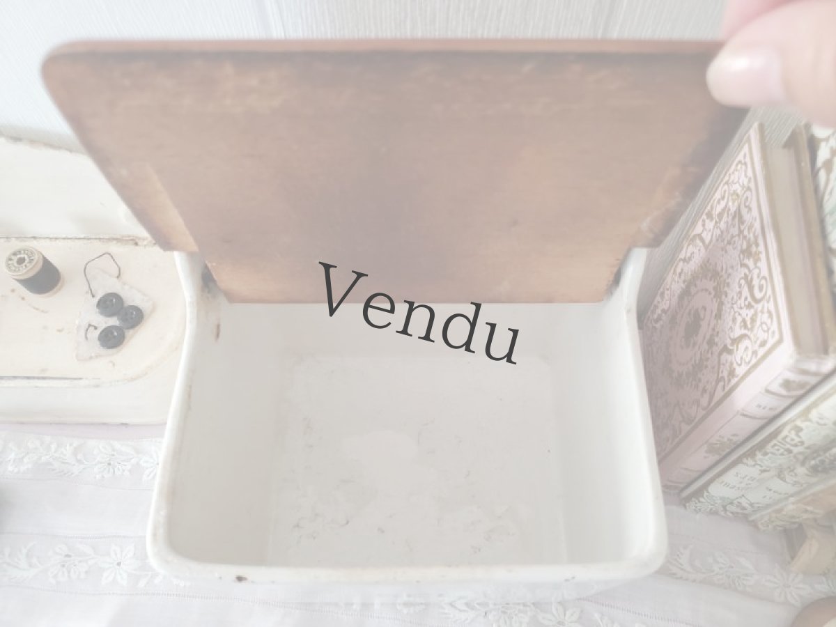 画像7: フランスアンティーク ディゴアン サルグミンヌ　セルボックス (7)