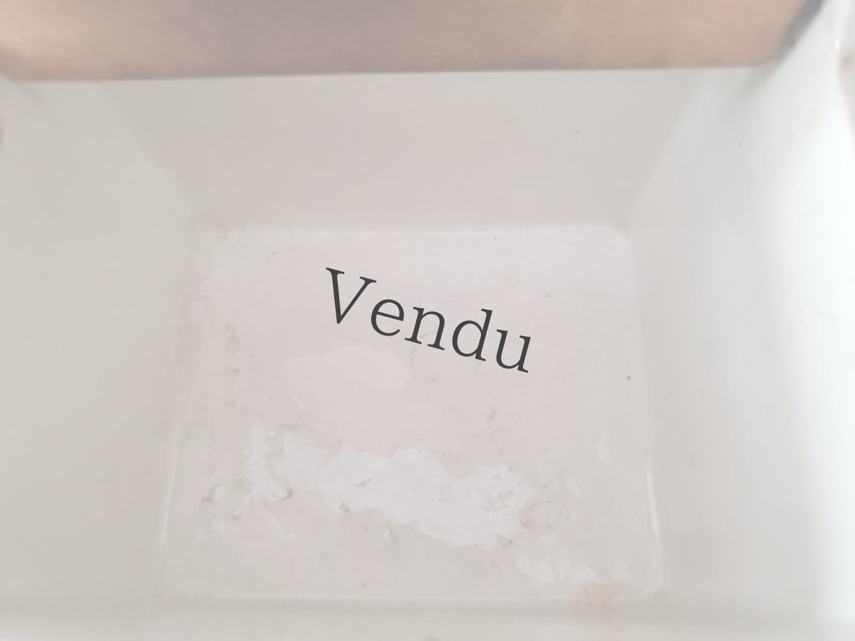 画像8: フランスアンティーク ディゴアン サルグミンヌ　セルボックス (8)