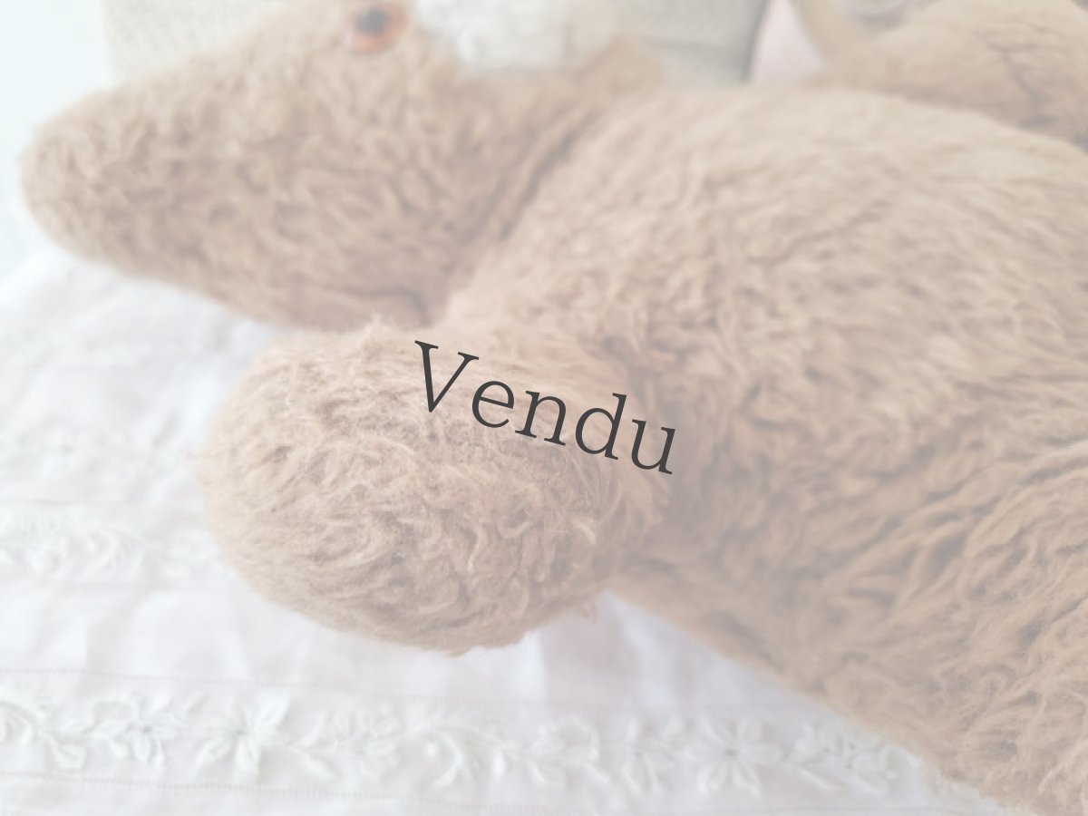 画像8: フランス 1960-70年代　Coucou!くまのぬいぐるみ (8)