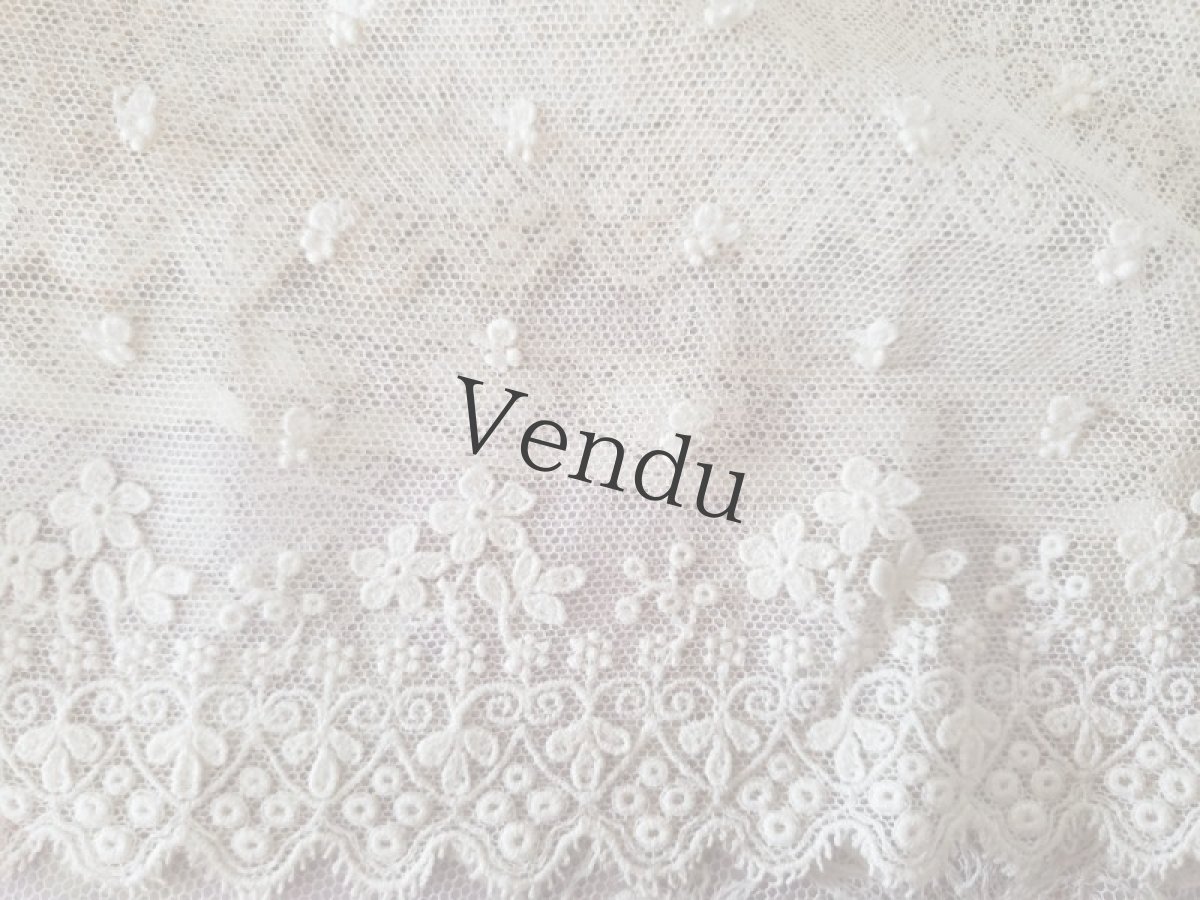 画像6: フランスヴィンテージ　チュール刺繍レース 幅広タイプ 105cm (6)