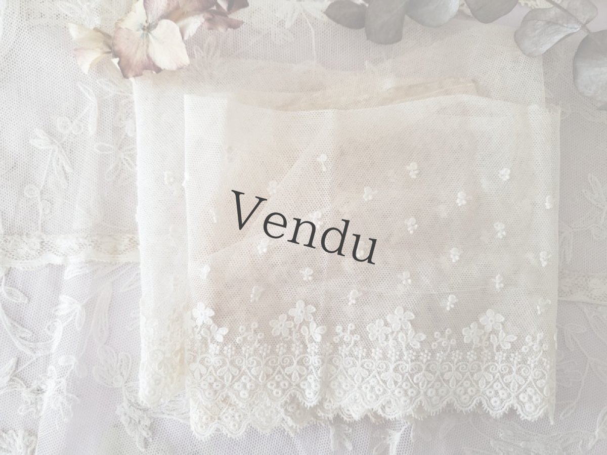 画像4: フランスヴィンテージ　チュール刺繍レース 幅広タイプ 105cm (4)
