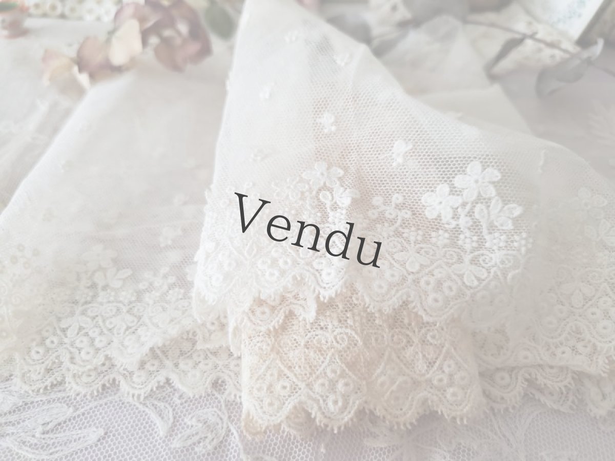 画像5: フランスヴィンテージ　チュール刺繍レース 幅広タイプ 105cm (5)