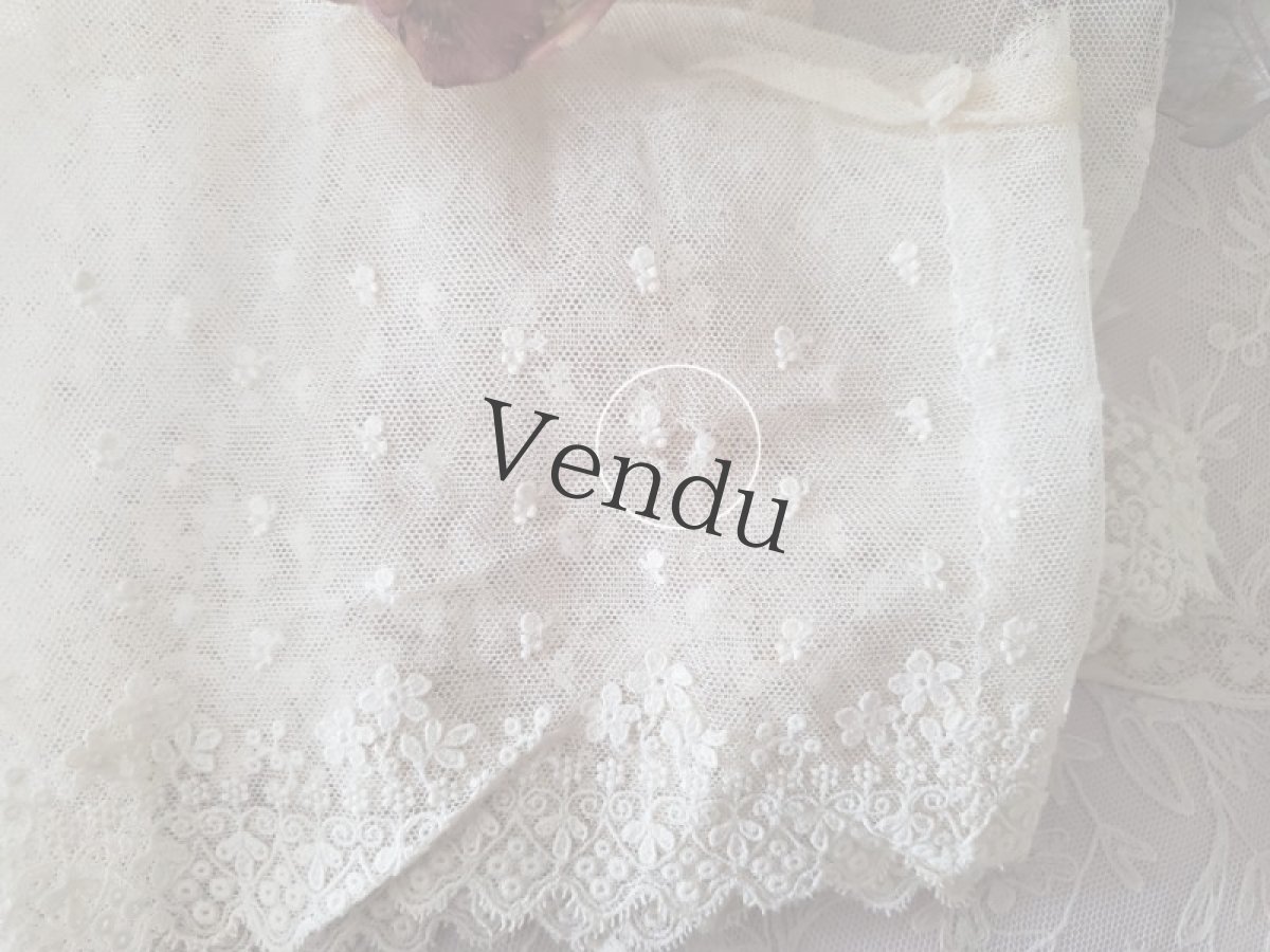 画像7: フランスヴィンテージ　チュール刺繍レース 幅広タイプ 105cm (7)