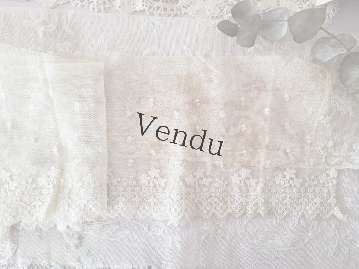 画像8: フランスヴィンテージ　チュール刺繍レース 幅広タイプ 105cm (8)