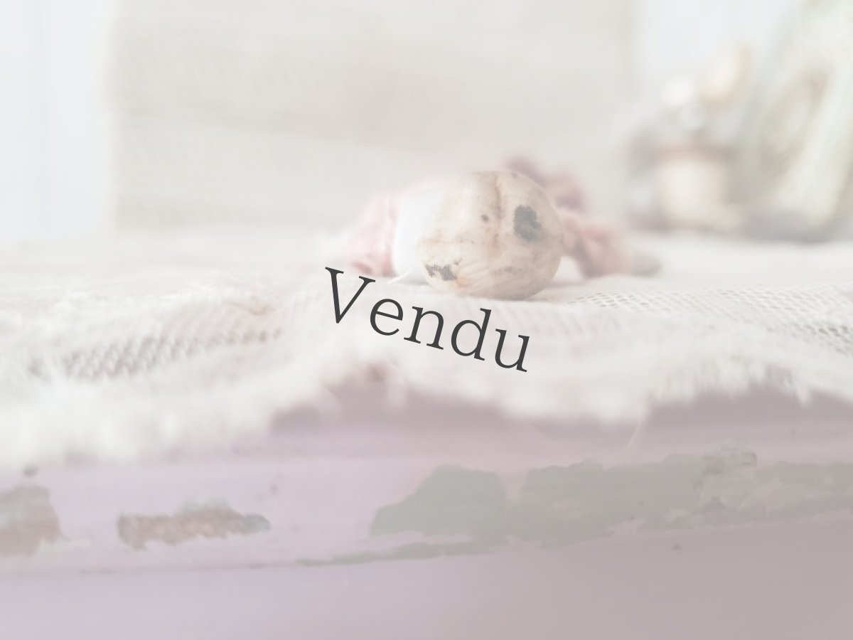 画像11: ドイツアンティーク　ビスクドール  ミニョネット (11)