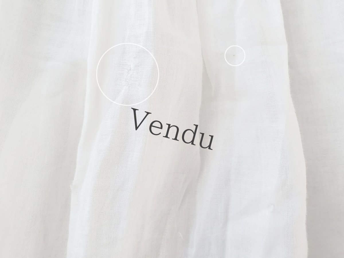 画像10: フランスアンティーク　リシュリュー刺繍襟のローブ (10)