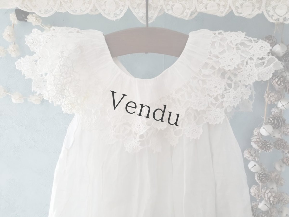 画像2: フランスアンティーク　リシュリュー刺繍襟のローブ (2)