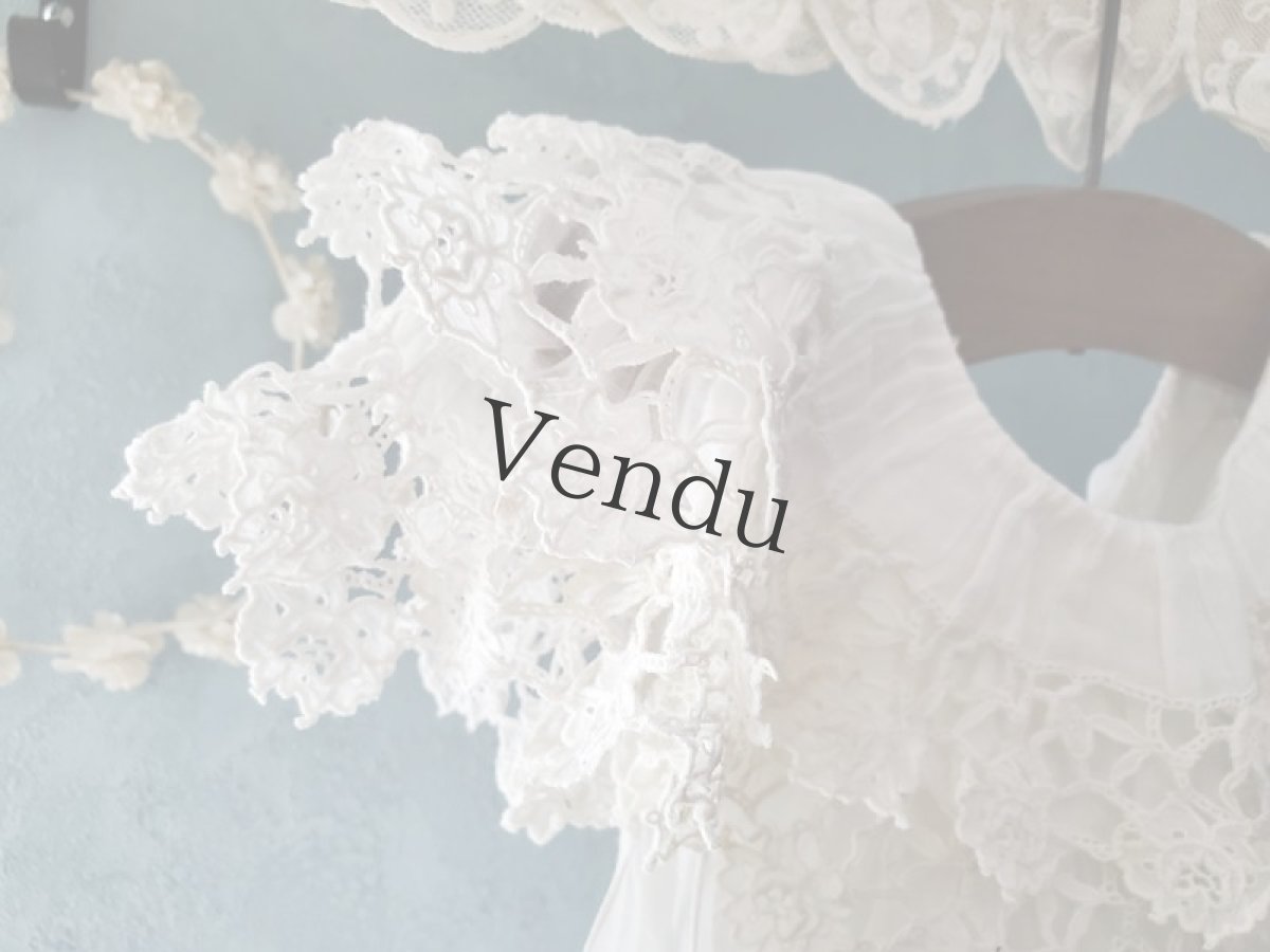 画像3: フランスアンティーク　リシュリュー刺繍襟のローブ (3)