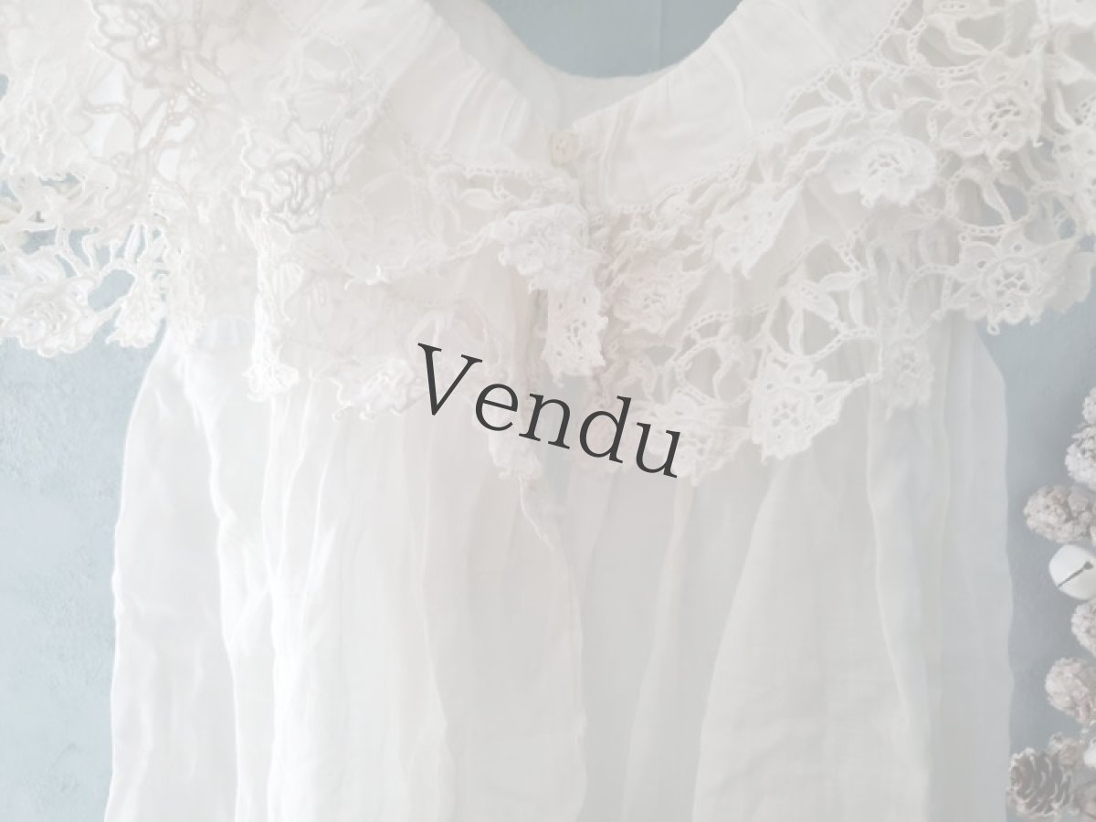 画像8: フランスアンティーク　リシュリュー刺繍襟のローブ (8)