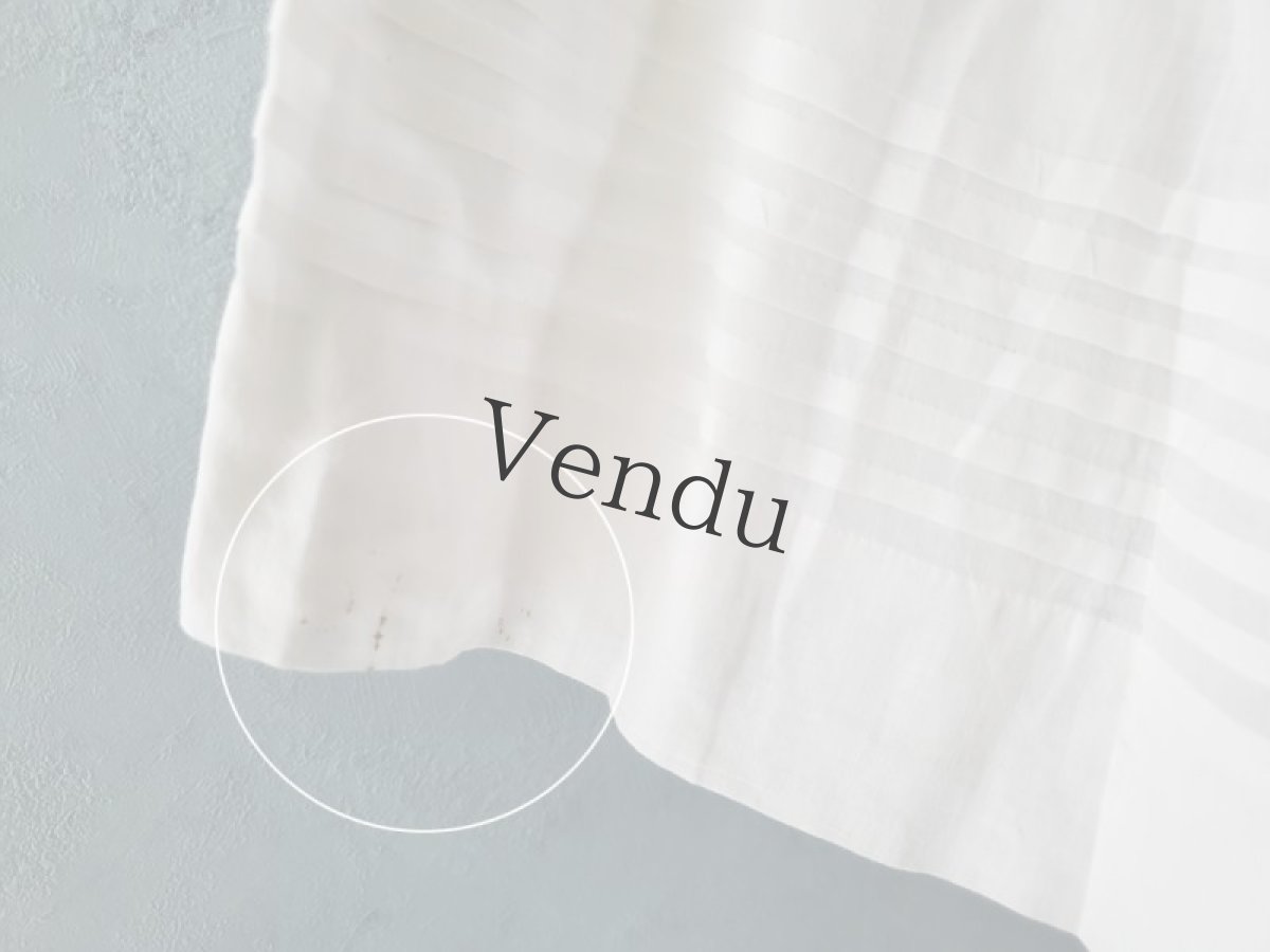 画像11: フランスアンティーク　リシュリュー刺繍襟のローブ (11)