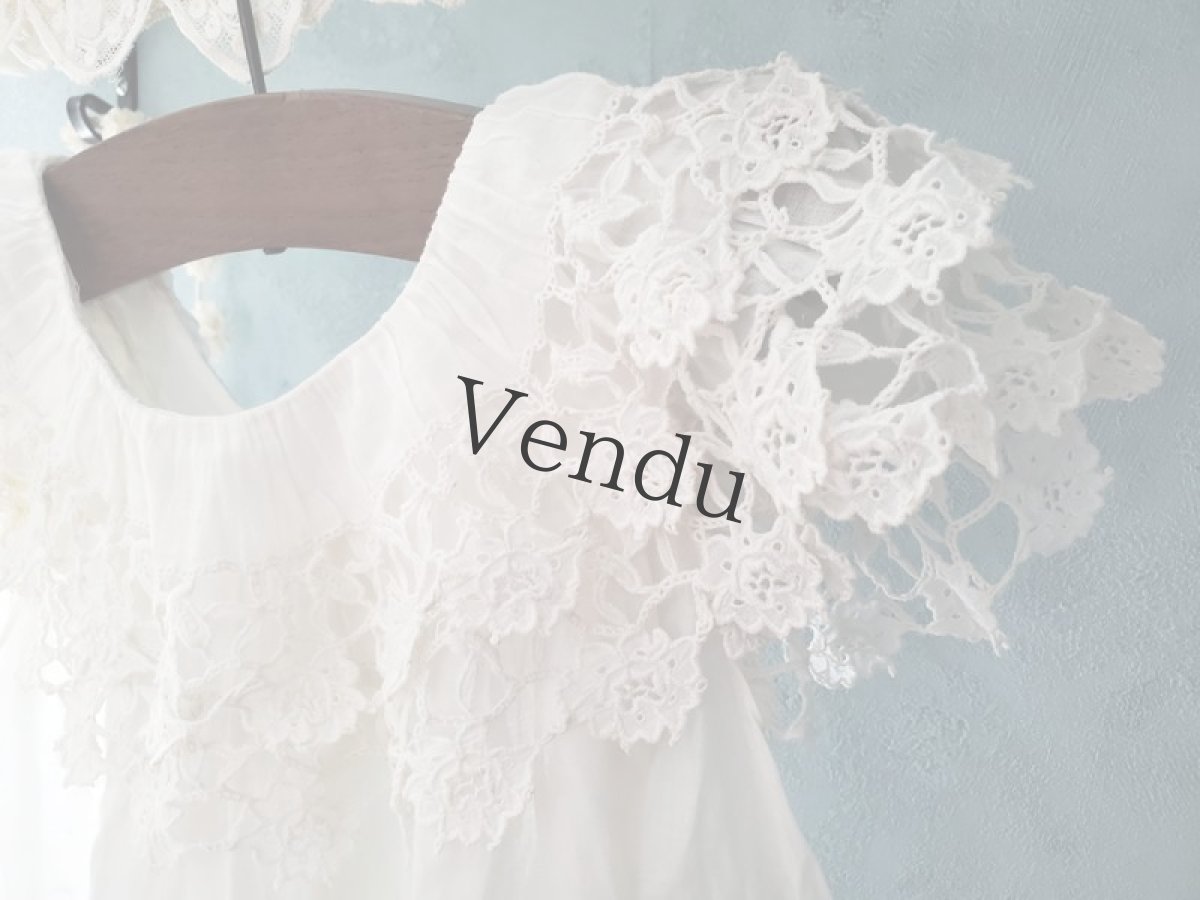 画像4: フランスアンティーク　リシュリュー刺繍襟のローブ (4)