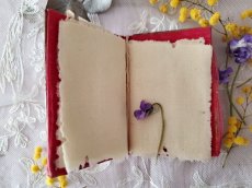 画像4: フランスアンティーク　ニードルケース　すみれとミモザのモシュリンヌ　 (4)
