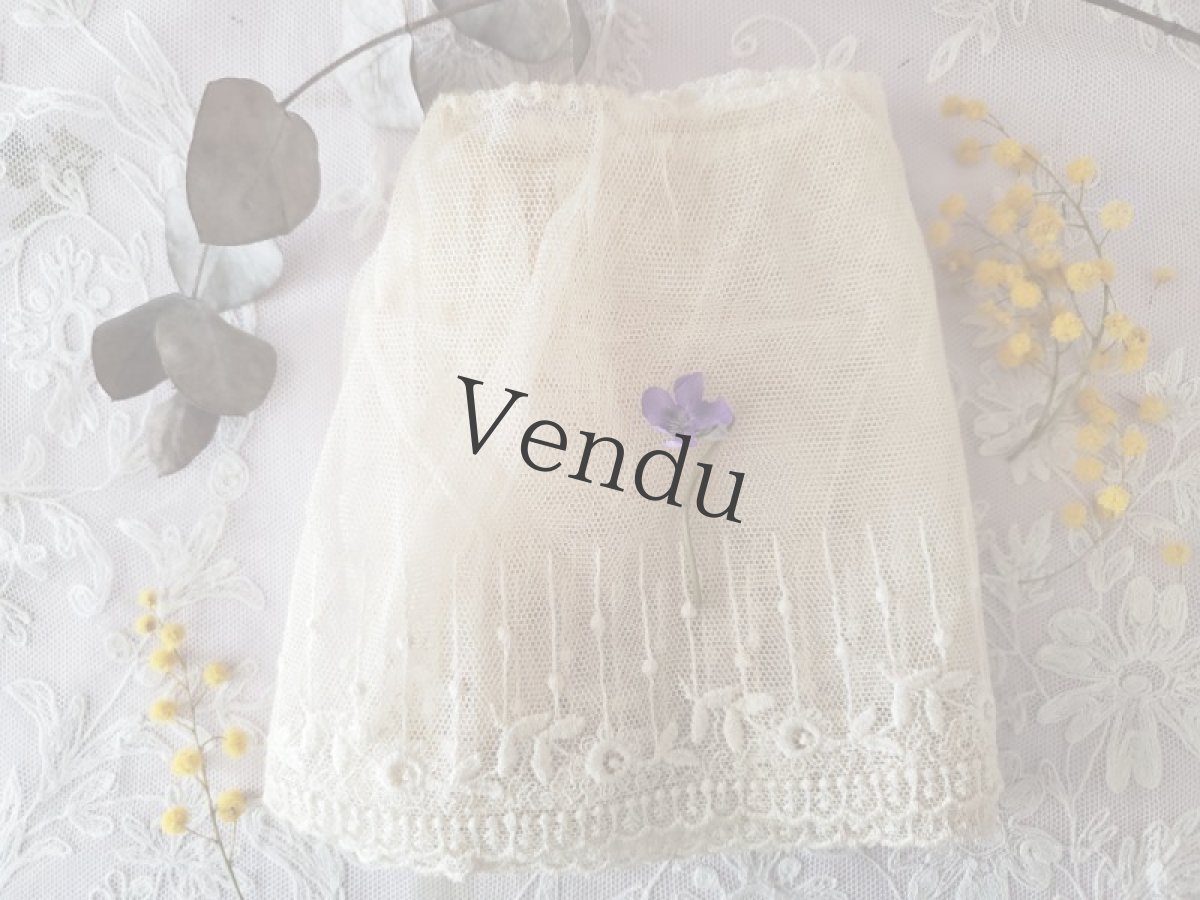 画像5: フランスヴィンテージ　チュール刺繍幅広レース 123cm (5)