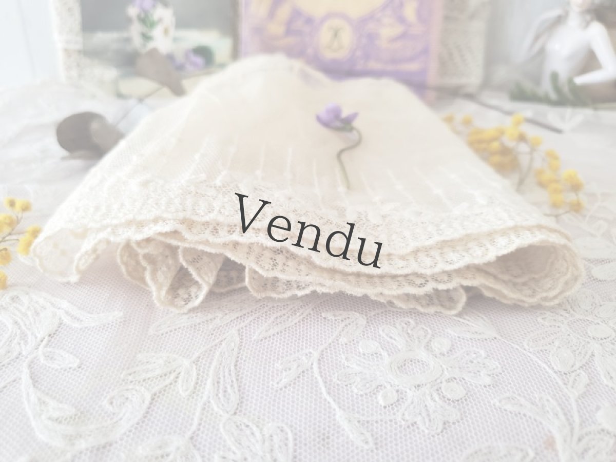 画像6: フランスヴィンテージ　チュール刺繍幅広レース 123cm (6)