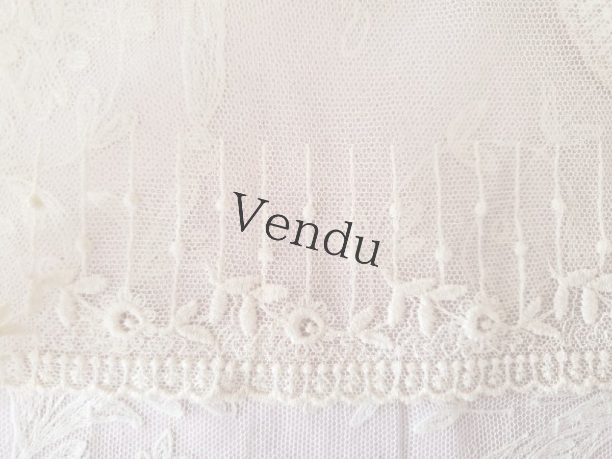 画像2: フランスヴィンテージ　チュール刺繍幅広レース 123cm (2)