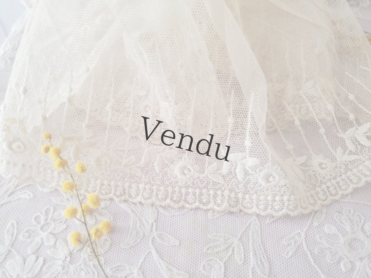 画像3: フランスヴィンテージ　チュール刺繍幅広レース 123cm (3)