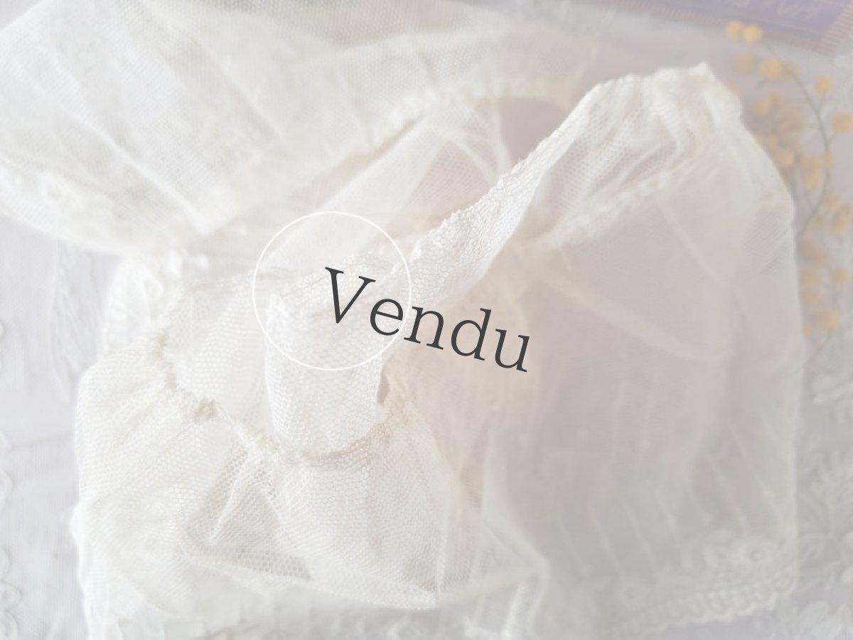 画像7: フランスヴィンテージ　チュール刺繍幅広レース 123cm (7)