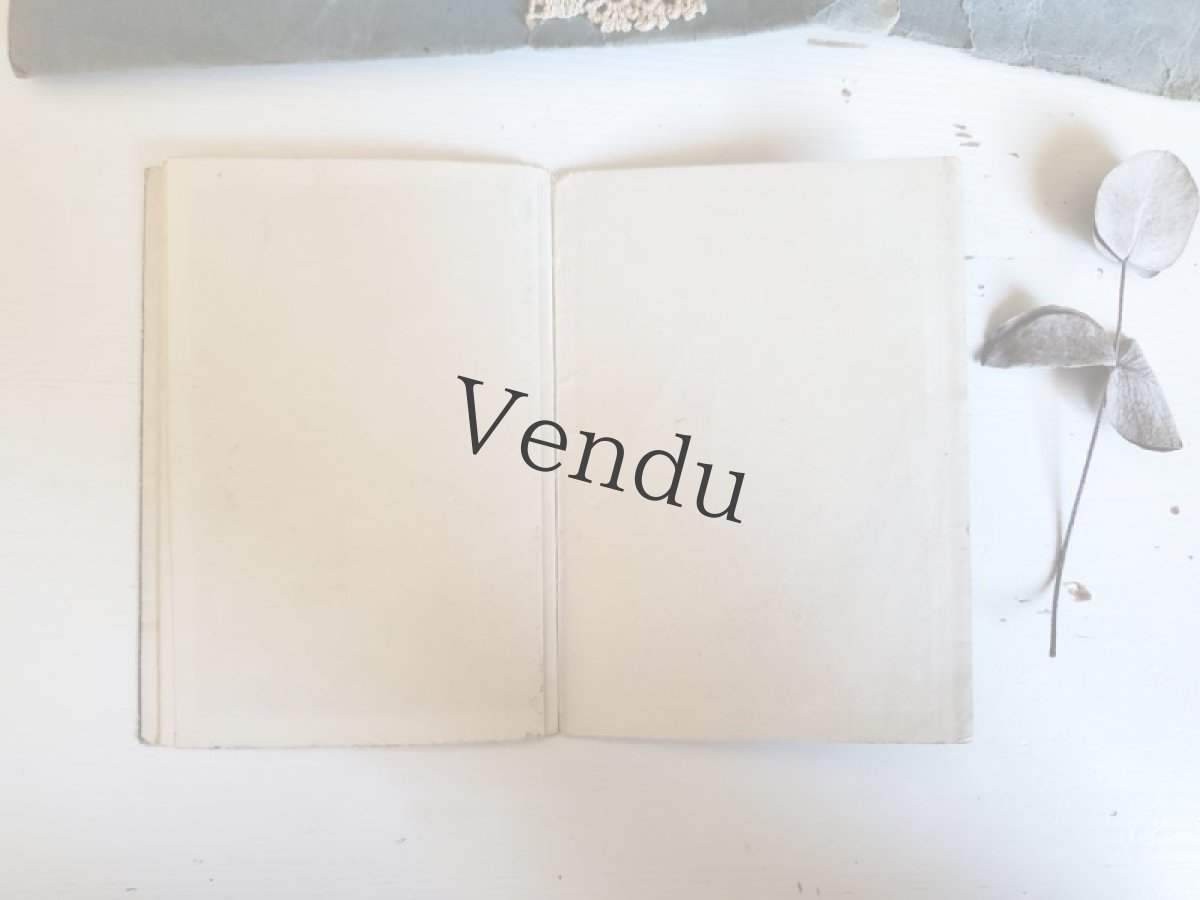 画像7: フランスアンティーク　ちいさなレース図案 CARTIER-BRESSON (7)