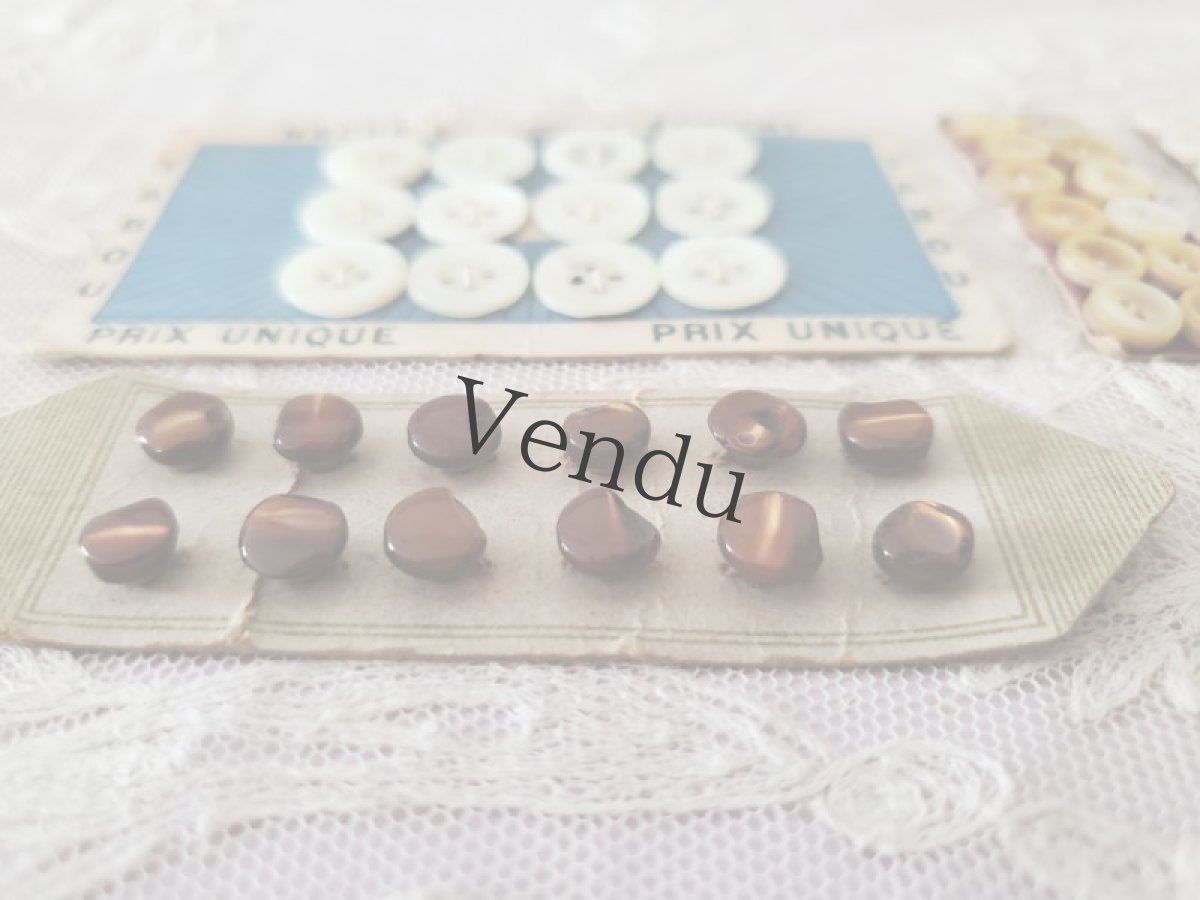 画像4: フランスアンティーク　貝ボタンシート4種セット 6-8-11mm (4)