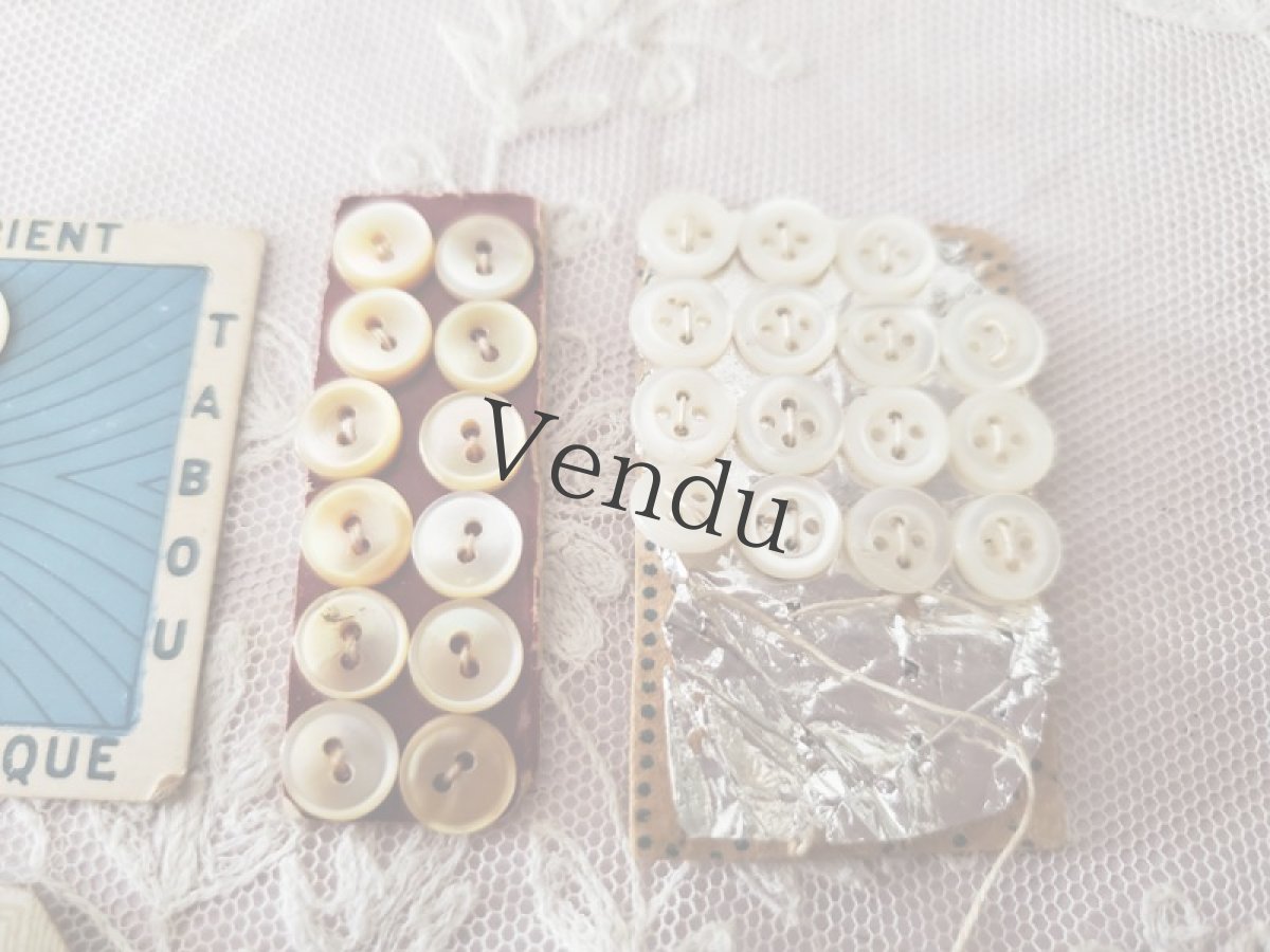 画像6: フランスアンティーク　貝ボタンシート4種セット 6-8-11mm (6)