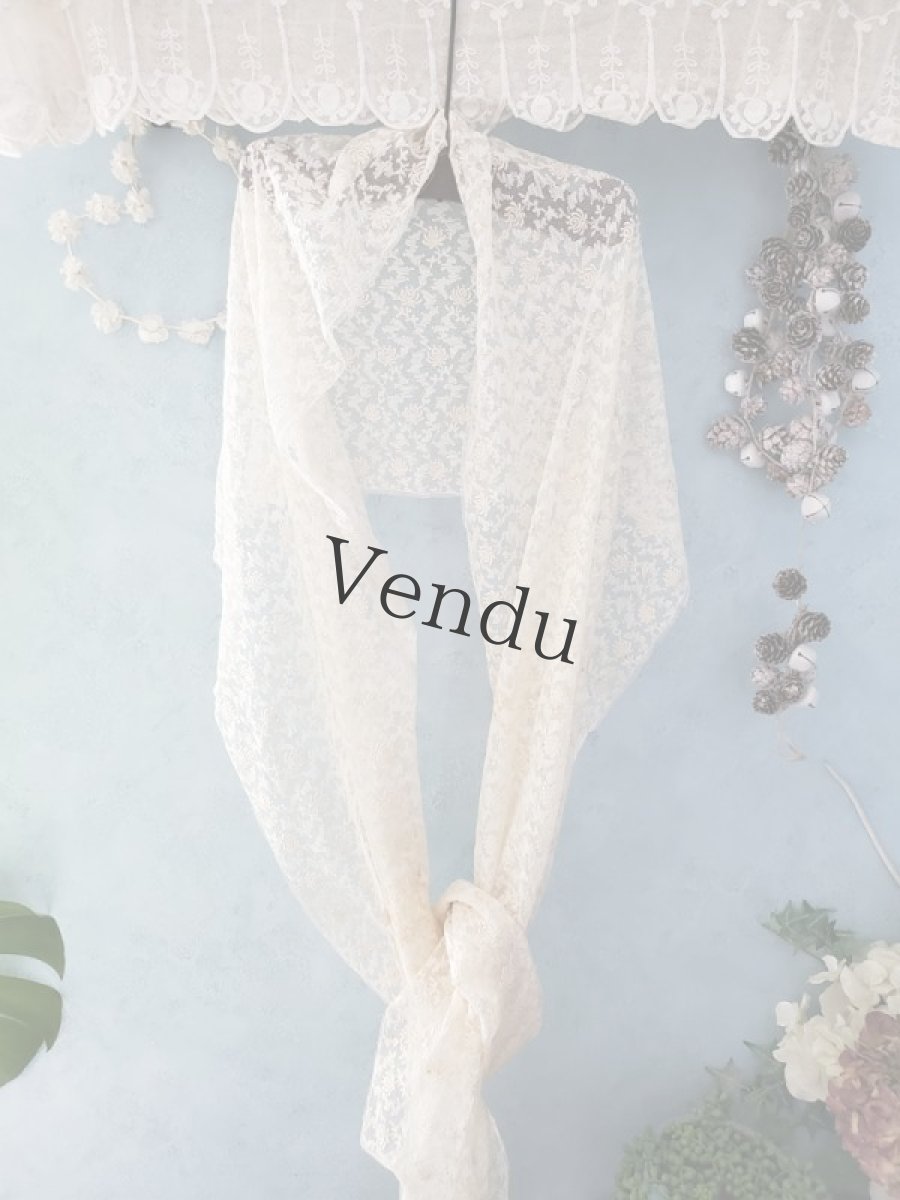画像5: フランスヴィンテージ　チュール刺繍レース生地 42×295cm (5)
