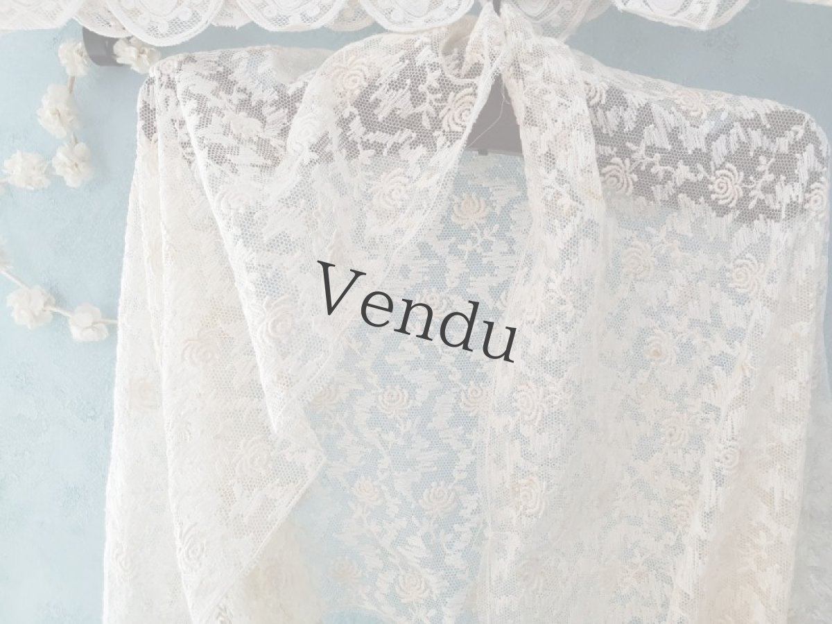 画像6: フランスヴィンテージ　チュール刺繍レース生地 42×295cm (6)