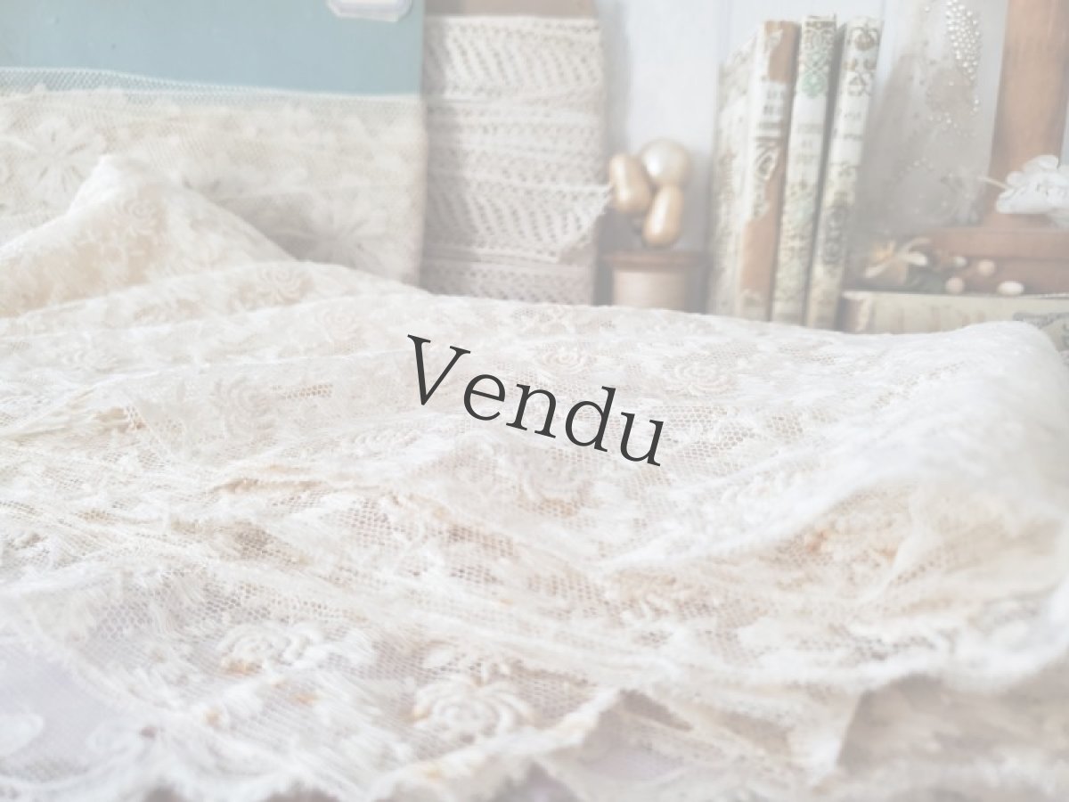 画像3: フランスヴィンテージ　チュール刺繍レース生地 42×295cm (3)