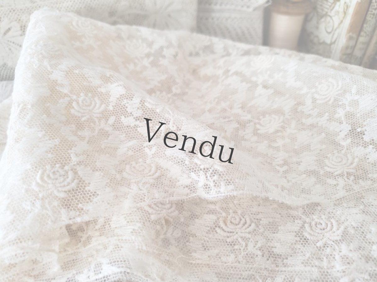 画像2: フランスヴィンテージ　チュール刺繍レース生地 42×295cm (2)