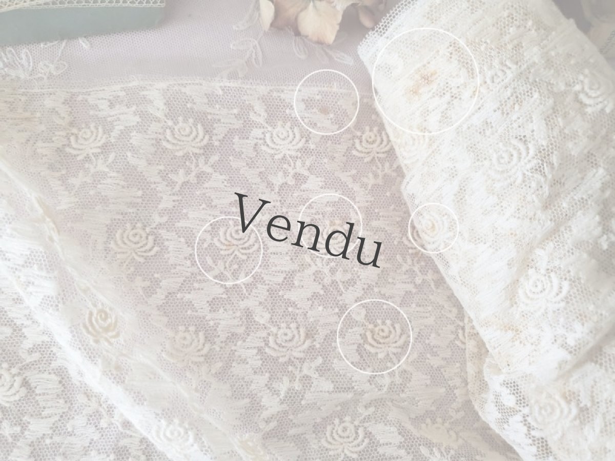 画像7: フランスヴィンテージ　チュール刺繍レース生地 42×295cm (7)