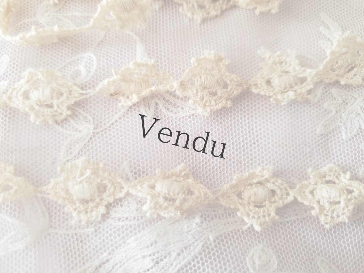 画像2: フランスアンティーク　レースブレード 219cm (2)