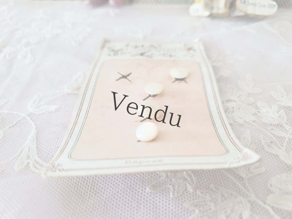 画像3: フランスアンティーク　貝カフスボタン シート 9-11mm (3)