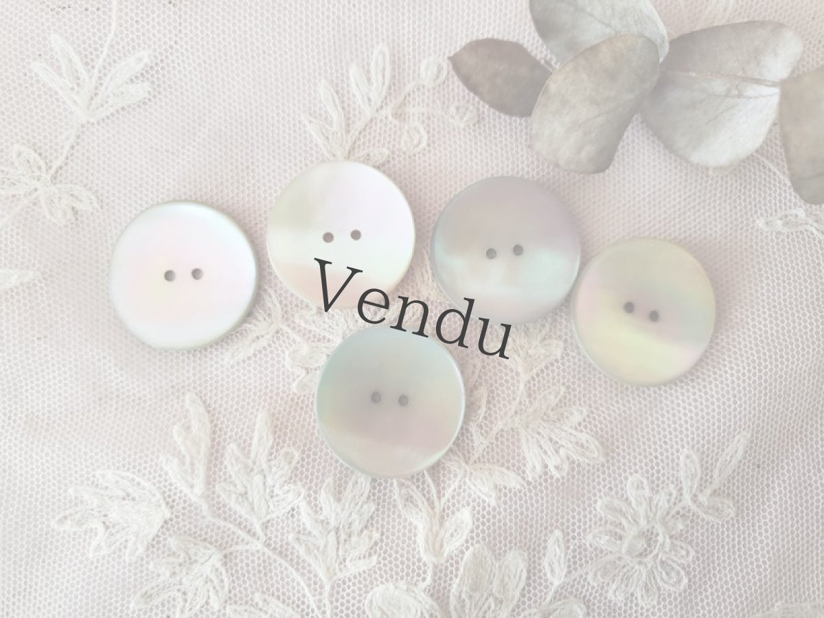 画像5: フランスアンティーク　貝ボタン オーロラ 27mm (5)