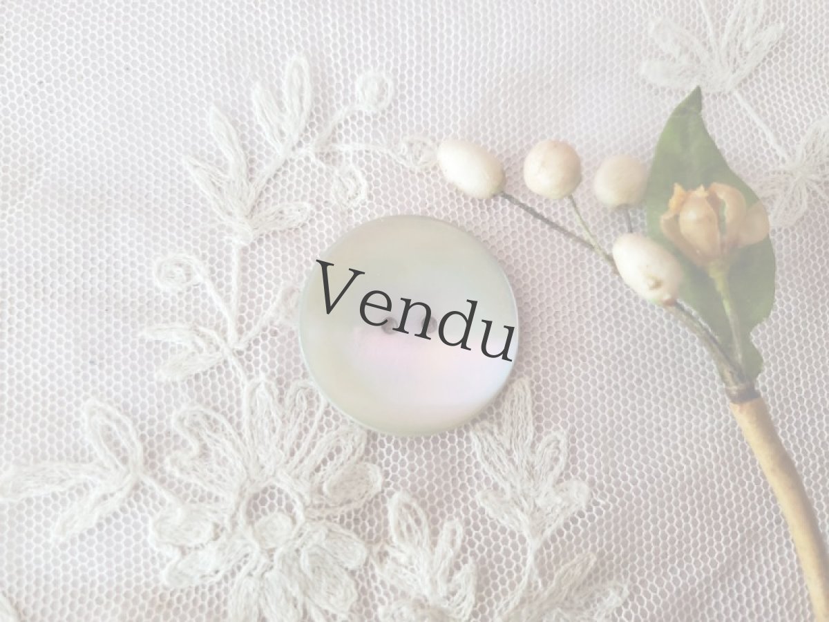 画像1: フランスアンティーク　貝ボタン オーロラ 27mm (1)