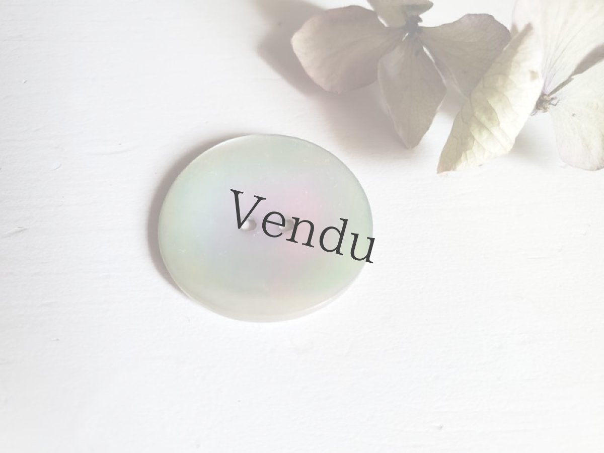 画像7: フランスアンティーク　貝ボタン オーロラ 27mm (7)