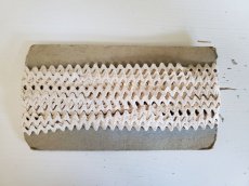 画像6: フランスヴィンテージ　台紙つきレーストリム 805cm (6)