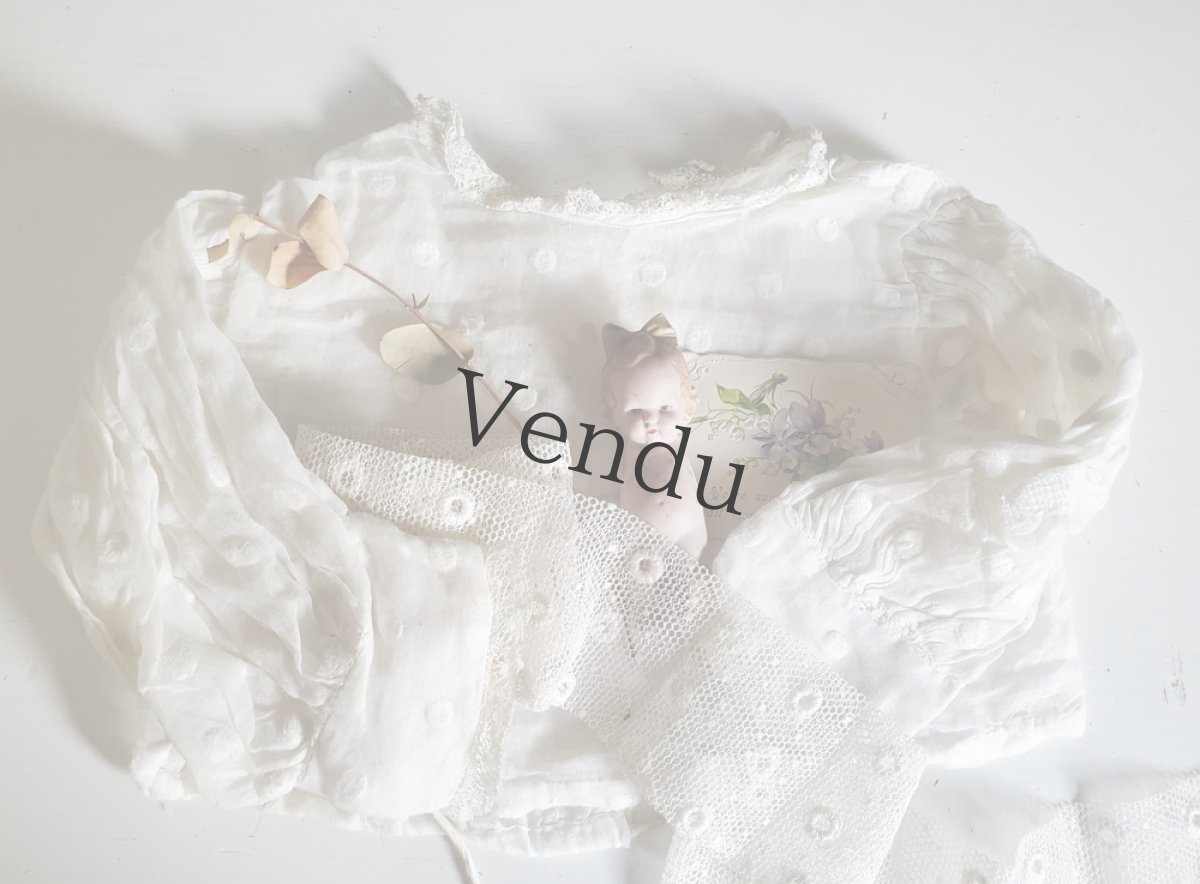 画像7: フランスヴィンテージ　チュールドット刺繍レース 106cm (7)