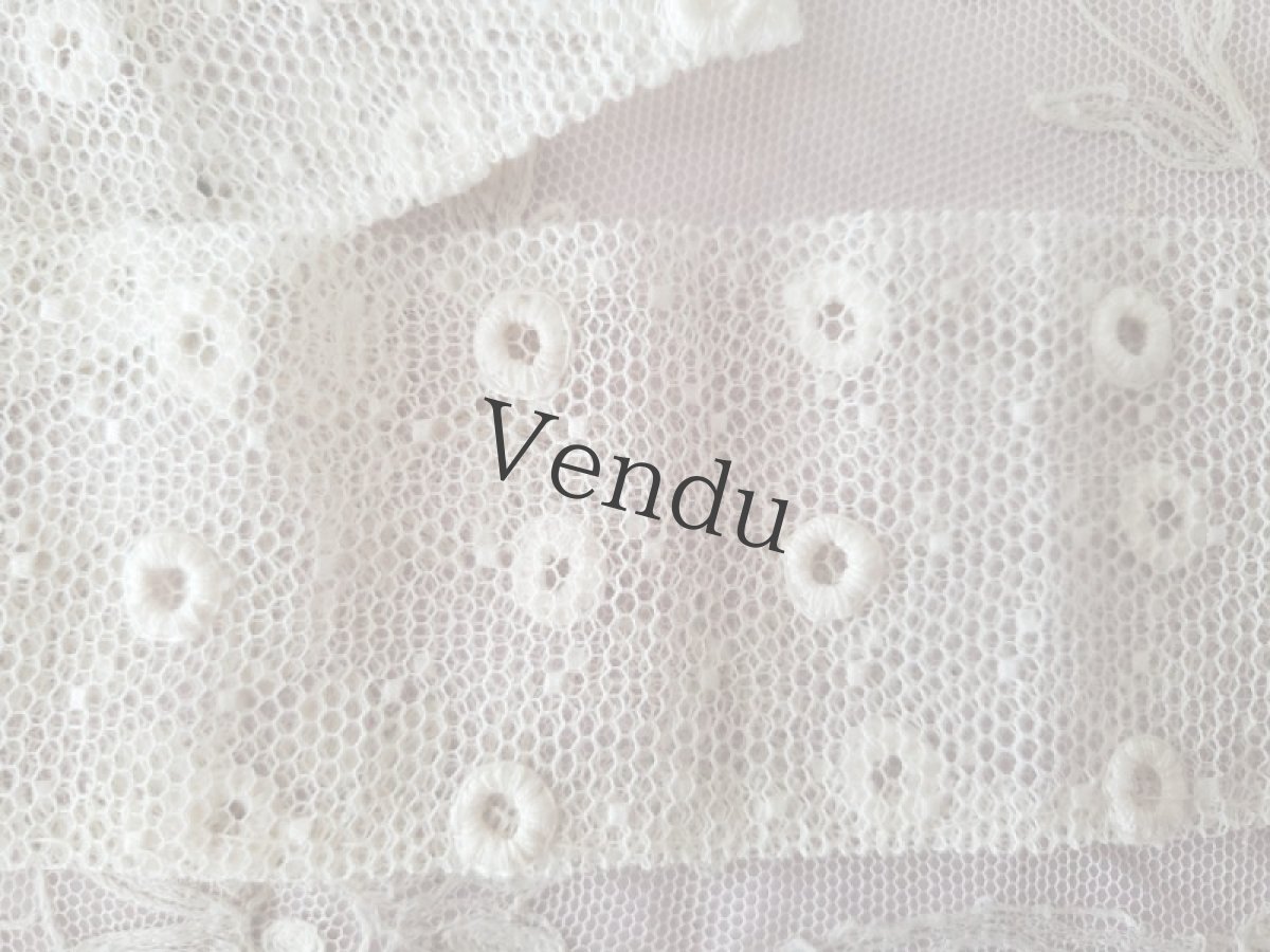 画像2: フランスヴィンテージ　チュールドット刺繍レース 106cm (2)