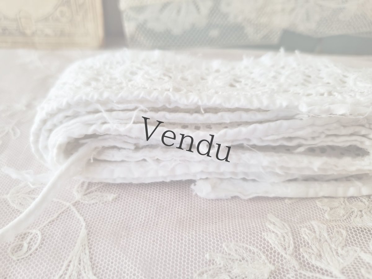 画像5: フランスヴィンテージ　カットワーク刺繍レース 153cm (5)