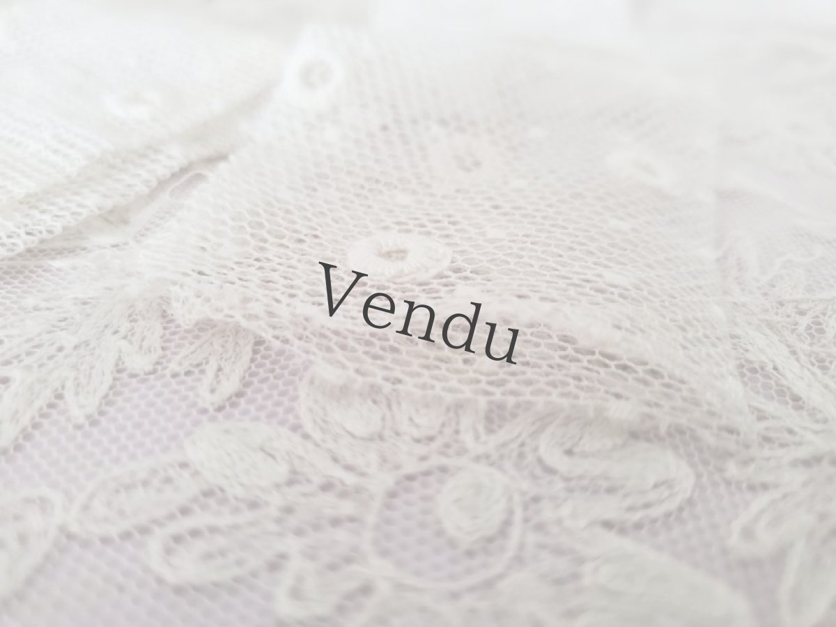 画像3: フランスヴィンテージ　チュールドット刺繍レース 106cm (3)