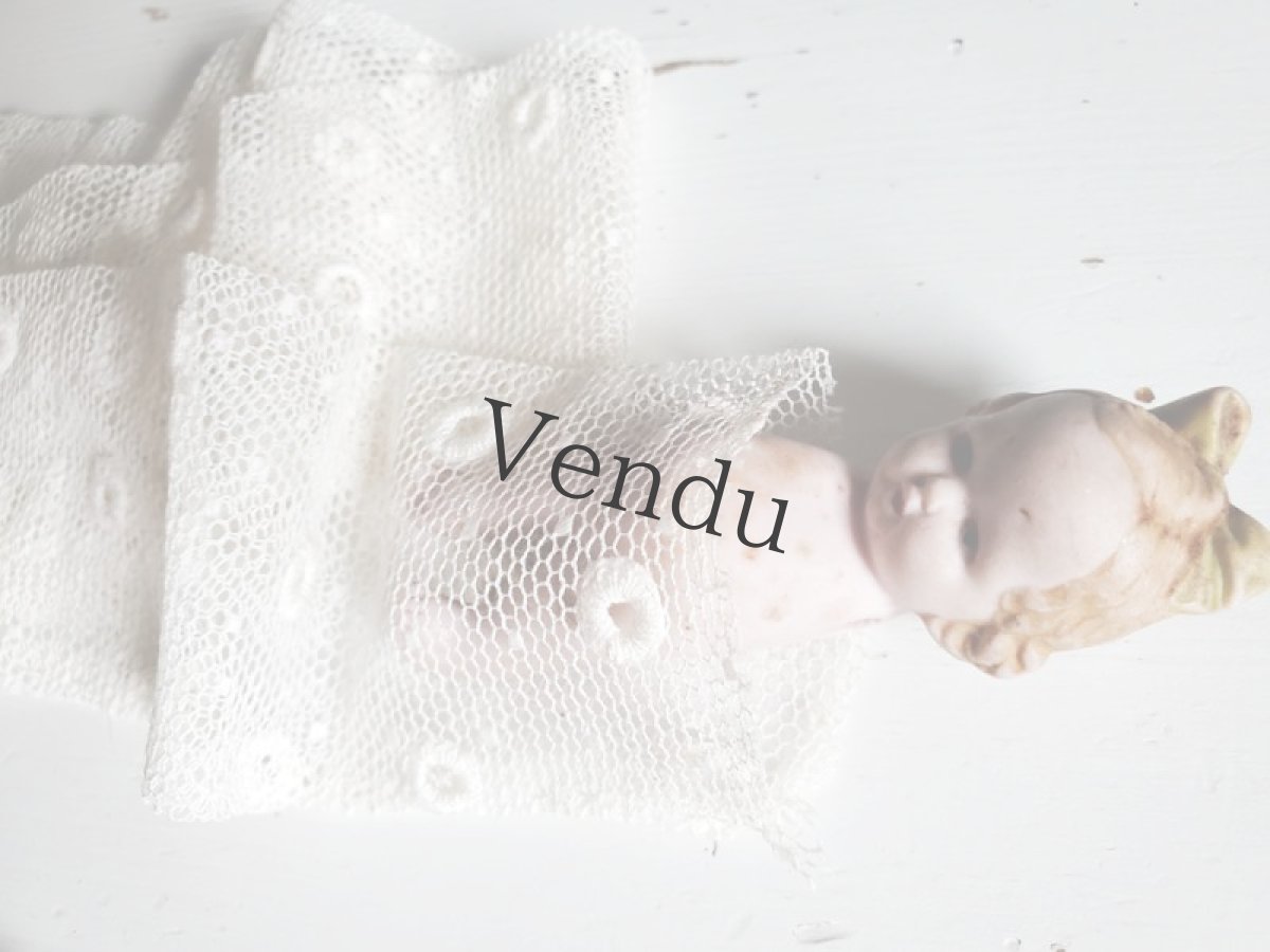 画像5: フランスヴィンテージ　チュールドット刺繍レース 106cm (5)