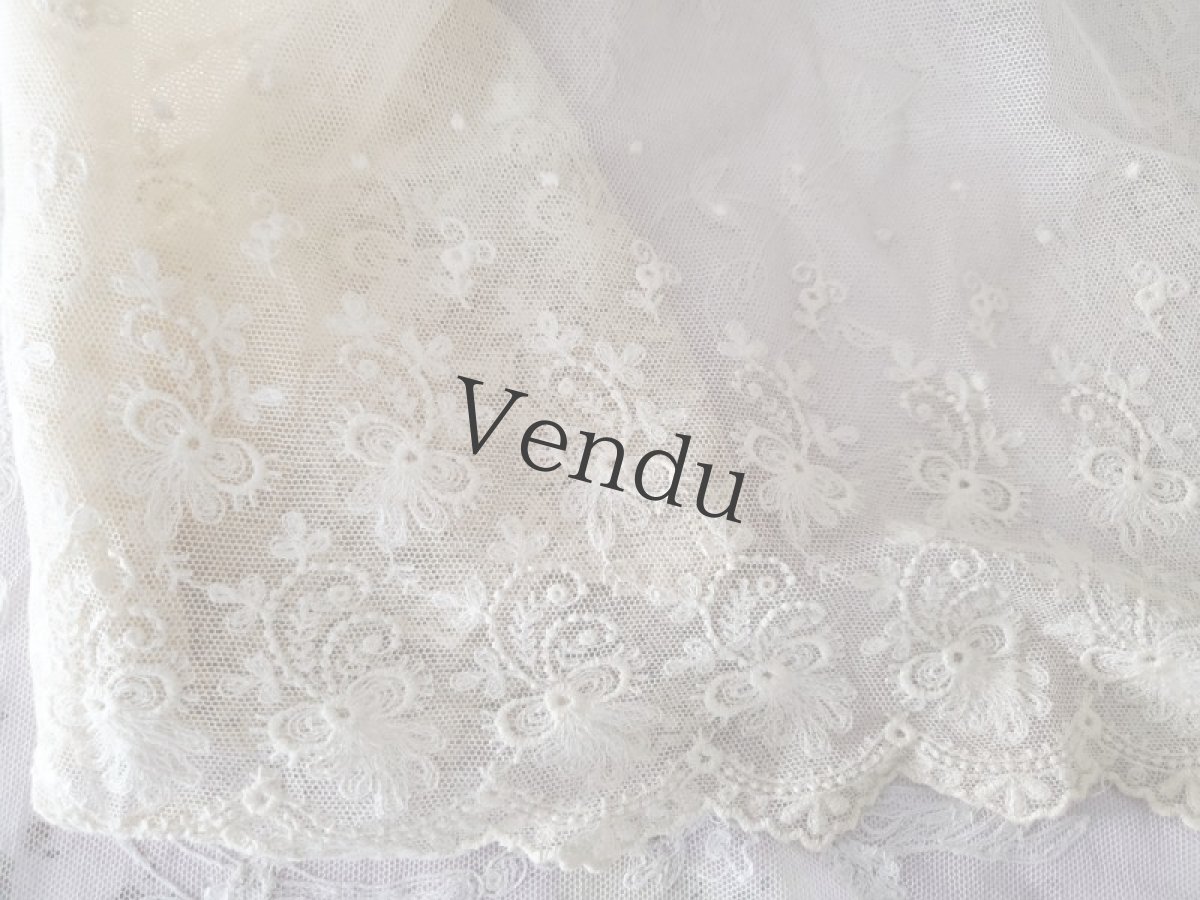 画像3: フランスアンティーク　チュール刺繍幅広レース 129cm (3)