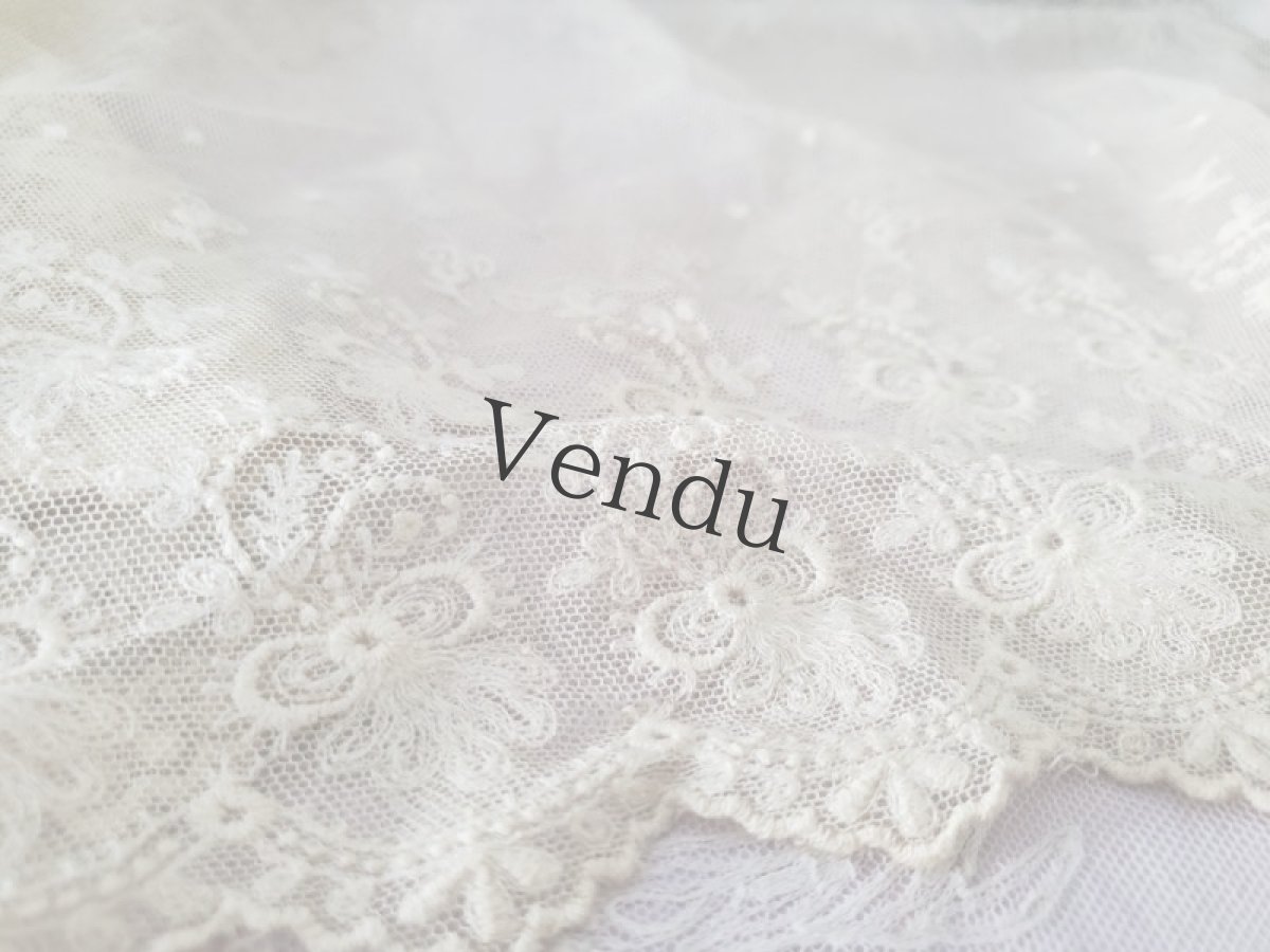 画像5: フランスアンティーク　チュール刺繍幅広レース 129cm (5)