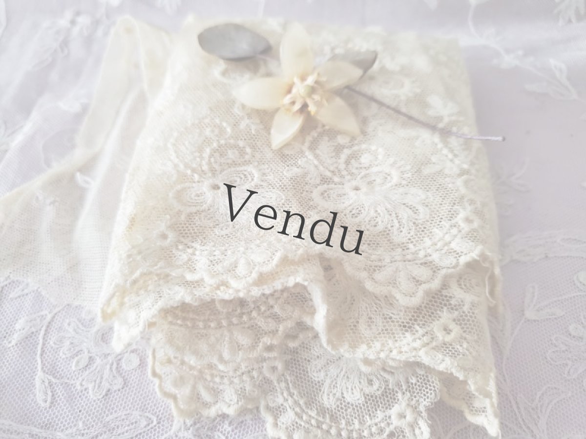 画像7: フランスアンティーク　チュール刺繍幅広レース 129cm (7)